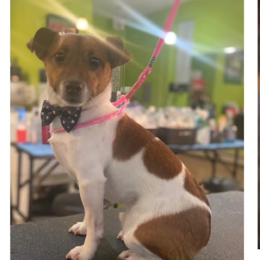 Hi, I’m Ali 🥰 Lovely to meet you!